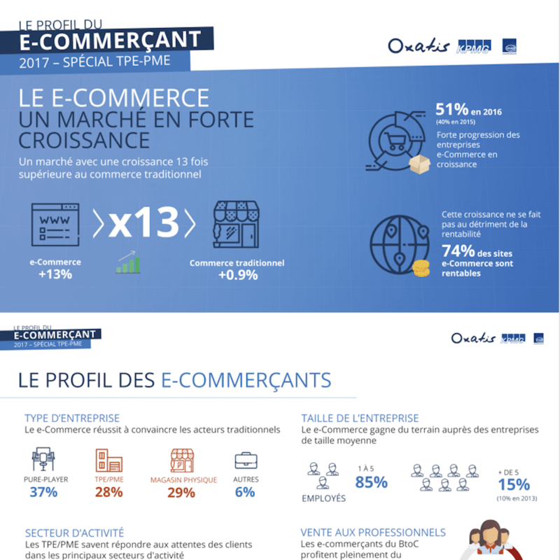 Infographie - Perspectives 2017 de l'E-commerce